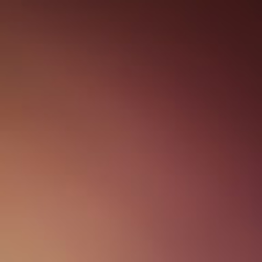 Meet your Posher, Bigking